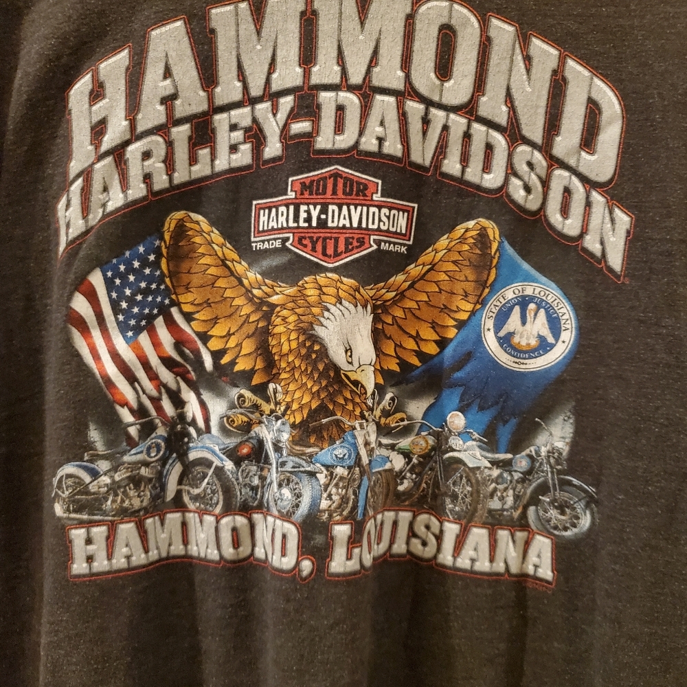 Harley Davidson eagle shirt vintage Louisiana - Picture 9 of 10